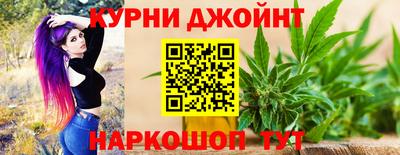 шишки Гатчина