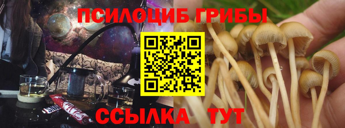 Галлюциногенные грибы ЛСД  цена наркотик  Галлюциногенные грибы Psilocybine cubensis  Губаха  Вход с VPN 